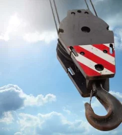 Sri Lakshmi Venkateshwara Cranes