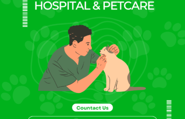 Best Pet Clinic in Gurgaon – DCC Animal Hospital