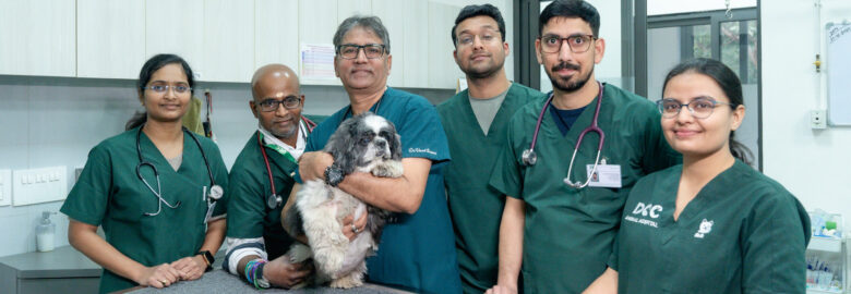 Best Pet Clinic in Gurgaon – DCC Animal Hospital