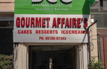 Best Dog Hospital in Delhi – DCC Animal Hospital
