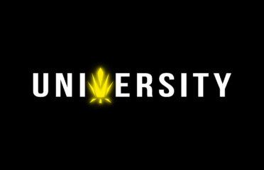 Trap University
