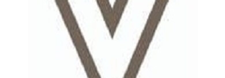 VaVia Dumpster Rental North Boston